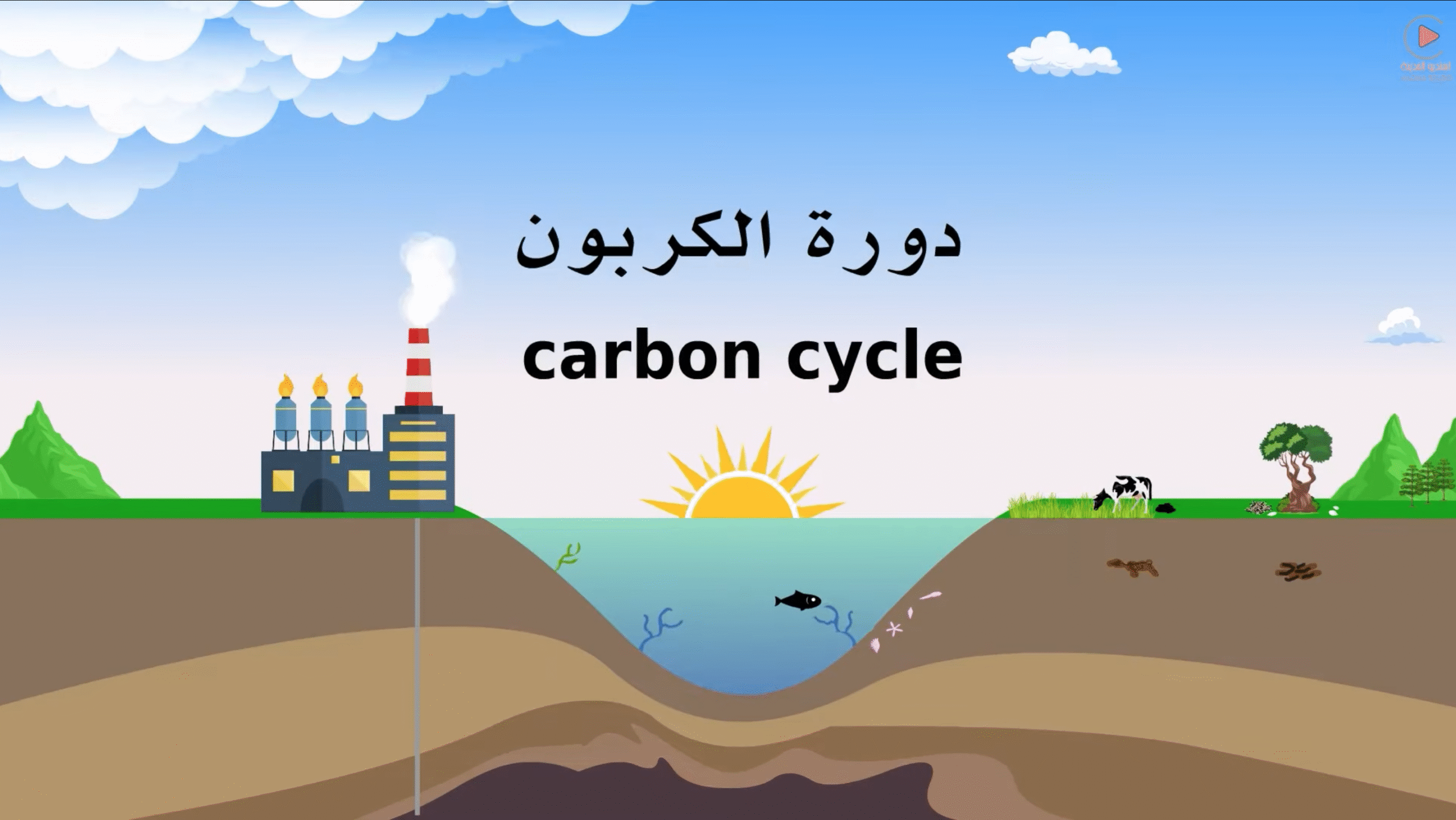 فهم دورة الكربون وتأثيرها على المناخ