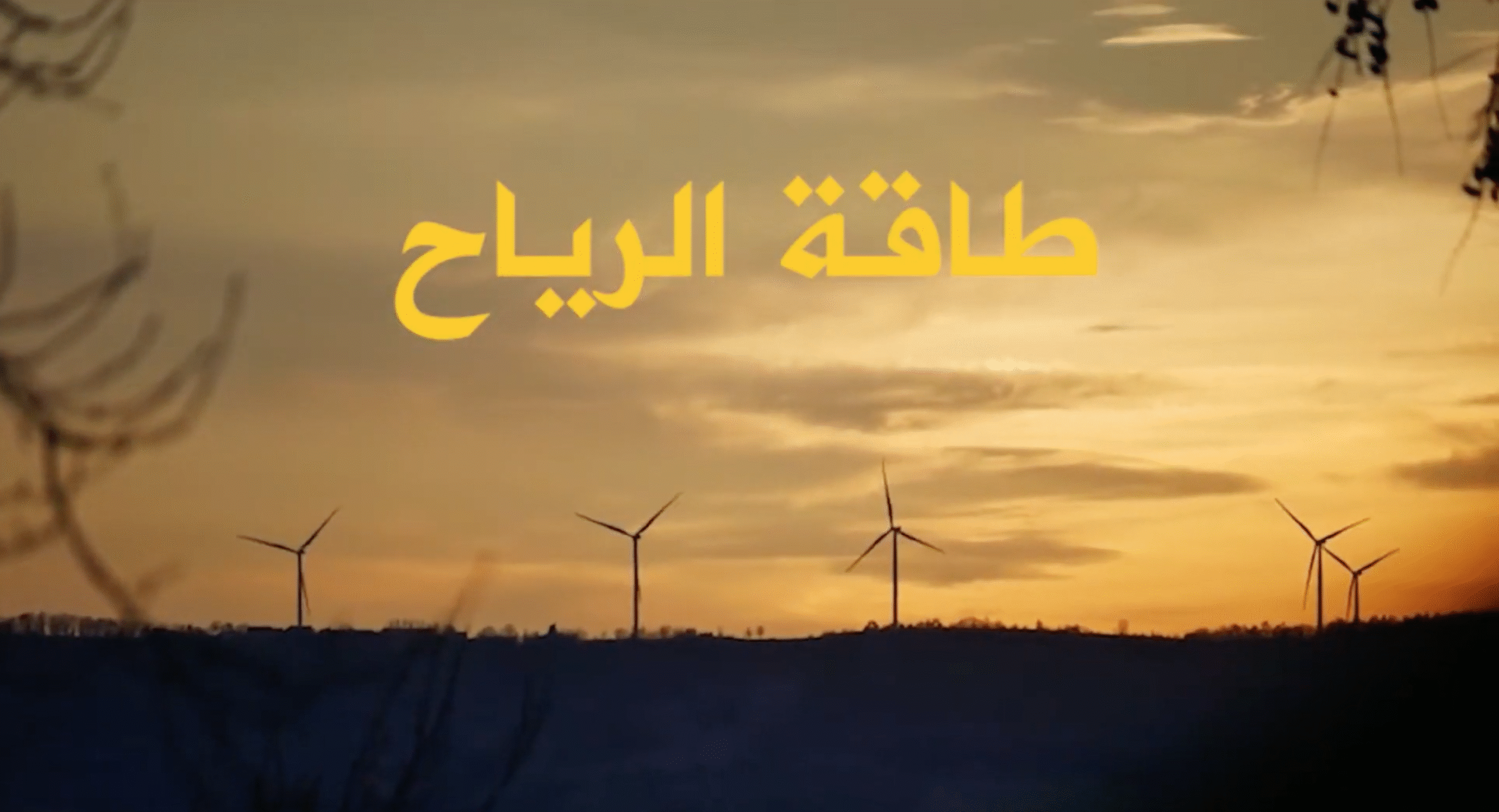 طاقة الرياح: من النظرية إلى التطبيق